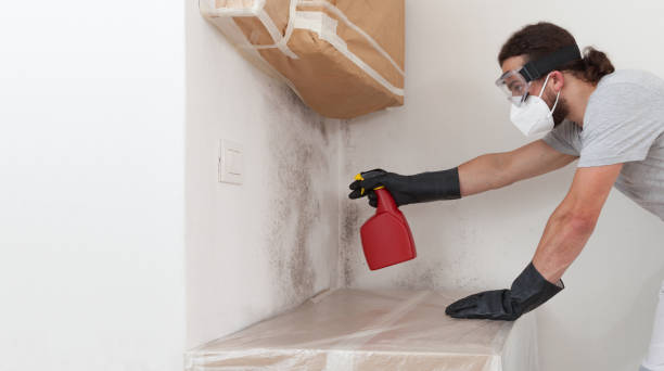 Professional Attic Mold Removal technician working in Mundelein, IL